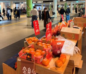 奈良県が札幌のチ・カ・ホで柿のPR販売イベントを10月11日・12日に開催へ