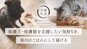 犬猫生活、個人と保護団体をつなぐごはんサポーター制度を9月24日より開始へ