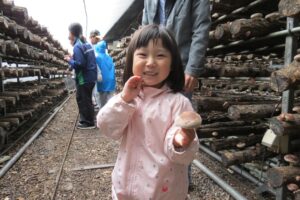 パルシステム茨城 栃木がJAつくば市谷田部で秋の収穫祭を10月3日に開催へ