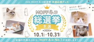【MOFFネコ総選挙】全国750頭の頂点を決める「本選」が10月1日(木)開幕!投票数が反映されるECサイト限定応援グッズも同時販売!