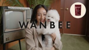 六本木 蔦屋書店でWANBEEのPOP UPが9/26より開催 あしあと記録会を実施へ