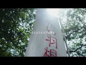 第８０回赤い羽根共同募金運動が１０月１日スタート 記念動画公開や再発防止策も