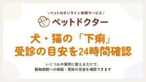 ノーススター 犬猫の下痢を対象に受診目安を確認する症状チェッカーを検証提供