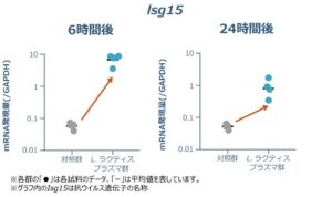 キリンと感染研、L.ラクティス プラズマの自然免疫記憶メカニズムの一端を解明