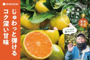 楽彩、香川県産ゆら早生みかんの予約販売を9月28日よりRAKUSAIで開始へ