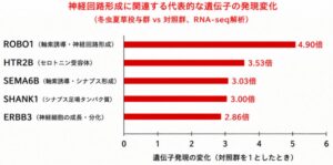 ロート製薬と三重大、冬虫夏草が脳内神経回路形成やエネルギー代謝に及ぼす影響を確認