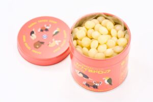 河合薬業、カワイ鉄ドロップを2026年9月29日に発売へ 船橋駅で初販売