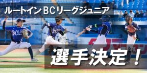 ルートインBCリーグジュニアの選手決定 NPBジュニアトーナメント出場へ