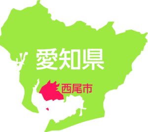 西尾市と内閣府が地震・津波防災訓練を実施 3段階で避難実践