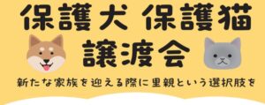 綿半パートナーズ、長野など4県の店舗で保護犬・保護猫の譲渡会を実施へ