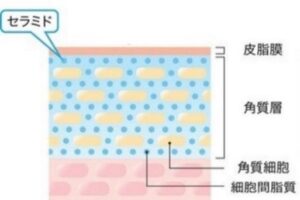 ナリス化粧品、日本初となる4種の有効成分を配合した美容液処方の安定化に成功