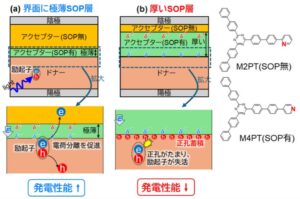 千葉大、有機薄膜太陽電池における自発配向分極の作用の二面性を解明