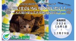 飼い主のいない猫の手術費補助へ ふるさと納税型CFを実施