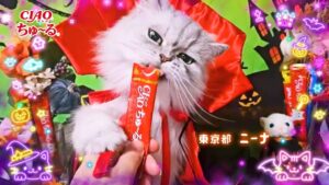 いなばペットフードがCIAOちゅ～るの2026年ハロウィンTVCM第1弾を公開