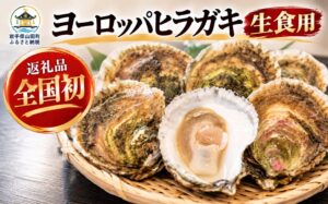 岩手県山田町で日本初、ヨーロッパヒラガキがふるさと納税返礼品に登場