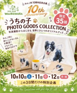 わんこ村が10周年記念で愛犬の撮影会とオリジナルグッズ制作企画を10月に開催へ