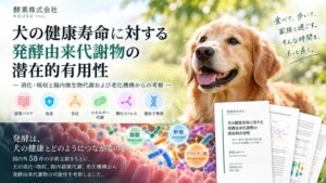 酵素株式会社が犬の健康寿命と発酵由来代謝物に関する研究レポートを公開