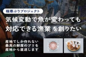 シラリカ、北海道白糠町のブリ価値化へクラウドファンディングを開始