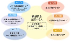 第一三共ヘルスケア、敏感肌にバリア機能保持型や黄み型など複数タイプを確認