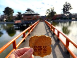 JAF三重支部が桑名市で和菓子満喫ウォーキングを11月21日に開催へ