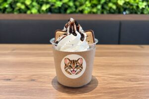 福岡市動物園でツシマヤマネコモチーフのソフトクリームを10月10日から販売へ