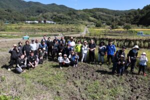 ゆうきやが稲刈り体験イベントを実施 7組18名が手作業の収穫や天日干しを体験