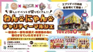 東洋、エブリデイ行田店でわんにゃんチャリティマルシェを10月25日に限定開催へ