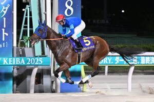 TCKで10月7日にジャパンダートクラシック開催へ 出走馬と枠順が決定