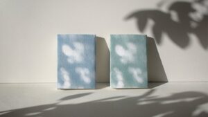 山陽製紙とbon.が再生紙を使ったブックカバー 木漏れ日を10月6日発売へ