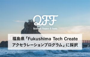 QFF、福島浜通りで耐暑性と高糖度を兼ね備えたトマトの育種実証へ