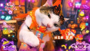 いなばペットフード CIAO ちゅ〜るのハロウィンCM第2弾を10月2日より放映へ