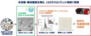 NEDOなど、有用微生物を100万規模で探索するシステムを世界初開発
