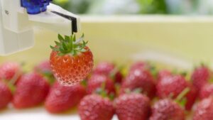 MD-Farmが新潟県の地域産業クラスター計画で推進の核となる企業に選定