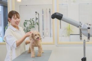 I Oneがアイズドッグ芦屋店を2026年11月開業へ トリマーを募集