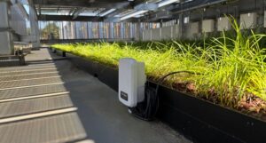 BHと戸田建設、IoT潅水装置の実証で屋上緑化の年間潅水量を84.2%削減