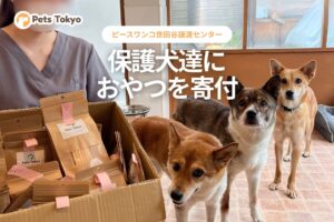 Pets Tokyoが保護犬施設へオリジナルおやつを寄付 譲渡活動の発信も