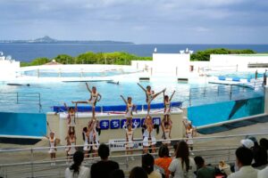 沖縄美ら海水族館のオキちゃん劇場で県内パフォーマーによるステージを無料開催へ