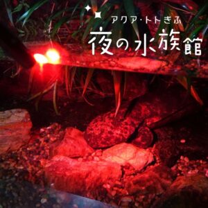 JAF岐阜 アクア・トト ぎふで閉館後の特別な夜の水族館体験を提供へ