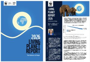 WWFの報告書で世界の野生生物個体群が73％減少、保全による回復事例も発表