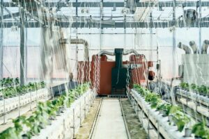 AGRIST、鹿児島県東串良町の自社農場での取り組みでみどり認定を取得
