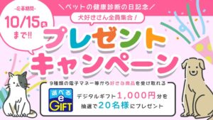 ペット保険STATION、愛犬の健康考える企画を2026年10月8日より開催へ