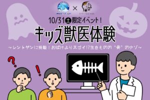 南知多ビーチランド、水族館の獣医療を学ぶキッズ体験を10月31日に開催へ