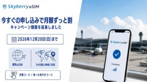 a2network、スカイベリー eSIMの月額割引を12月20日まで延長へ