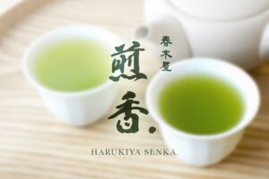 春木屋、甲府駅北口に日本茶カフェ春木屋 煎香.を2026年10月10日オープンへ