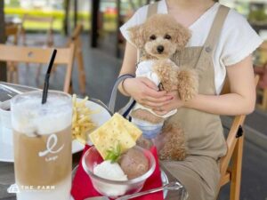 THE FARM カフェ、11月に愛犬向け全メニューを半額で提供する企画を開催へ