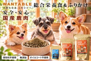 antiquaとルイトモが初のドッグフードWANTABLE発売へ 先行販売も