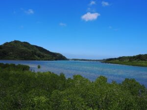 JTBとWWFジャパン、生物多様性の推進に向けた協働を2026年10月に開始へ