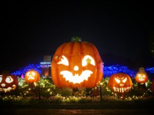 国営武蔵丘陵森林公園で森のハロウィンナイト開催へ 約55万球の光で演出