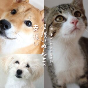 チックタック、不要な腕時計の下取りで保護犬猫を支援する企画を10月16日から開催へ