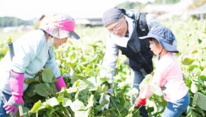ひょうごフィールドパビリオン、丹波の食文化や伝統工芸を体感するプログラムを展開